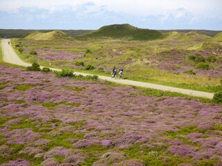 Vakantiepark De Koog Omgeving 18