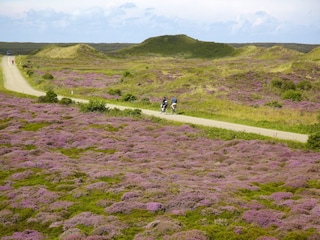 Ferienpark De Koog Umgebung 23