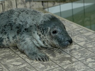 Parque de vacaciones De Koog  42