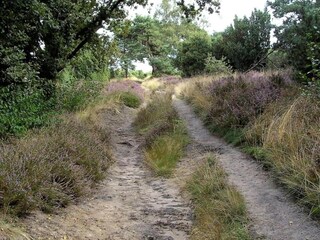 Vakantiepark Lemele Omgeving 17