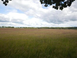 Vakantiepark Lemele Omgeving 30