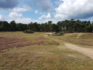 Vakantiepark Lemele Omgeving 22