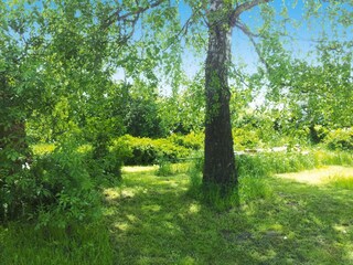 Parco vacanze Verchen Registrazione all'aperto 3