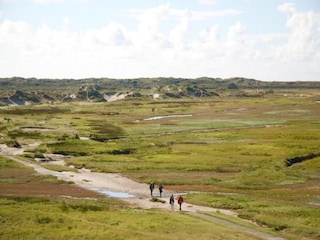 Ferienpark De Koog Umgebung 27