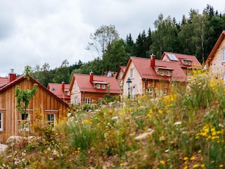 Vakantiepark Schierke Buitenaudio-opname 2