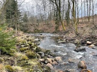 Ferienpark Schierke Umgebung 23