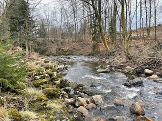 Parc de vacances Schierke Environnement 23
