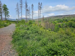 Holiday park Schierke Environment 30