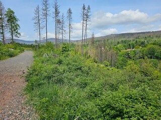 Parque de vacaciones Schierke Entorno 24