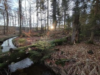Parque de vacaciones Schierke Entorno 37