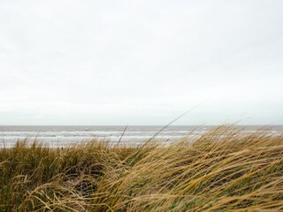 Parc de vacances De Koog Environnement 15