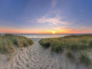 Vakantiepark De Koog Omgeving 34