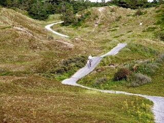 Vakantiepark De Koog Omgeving 22