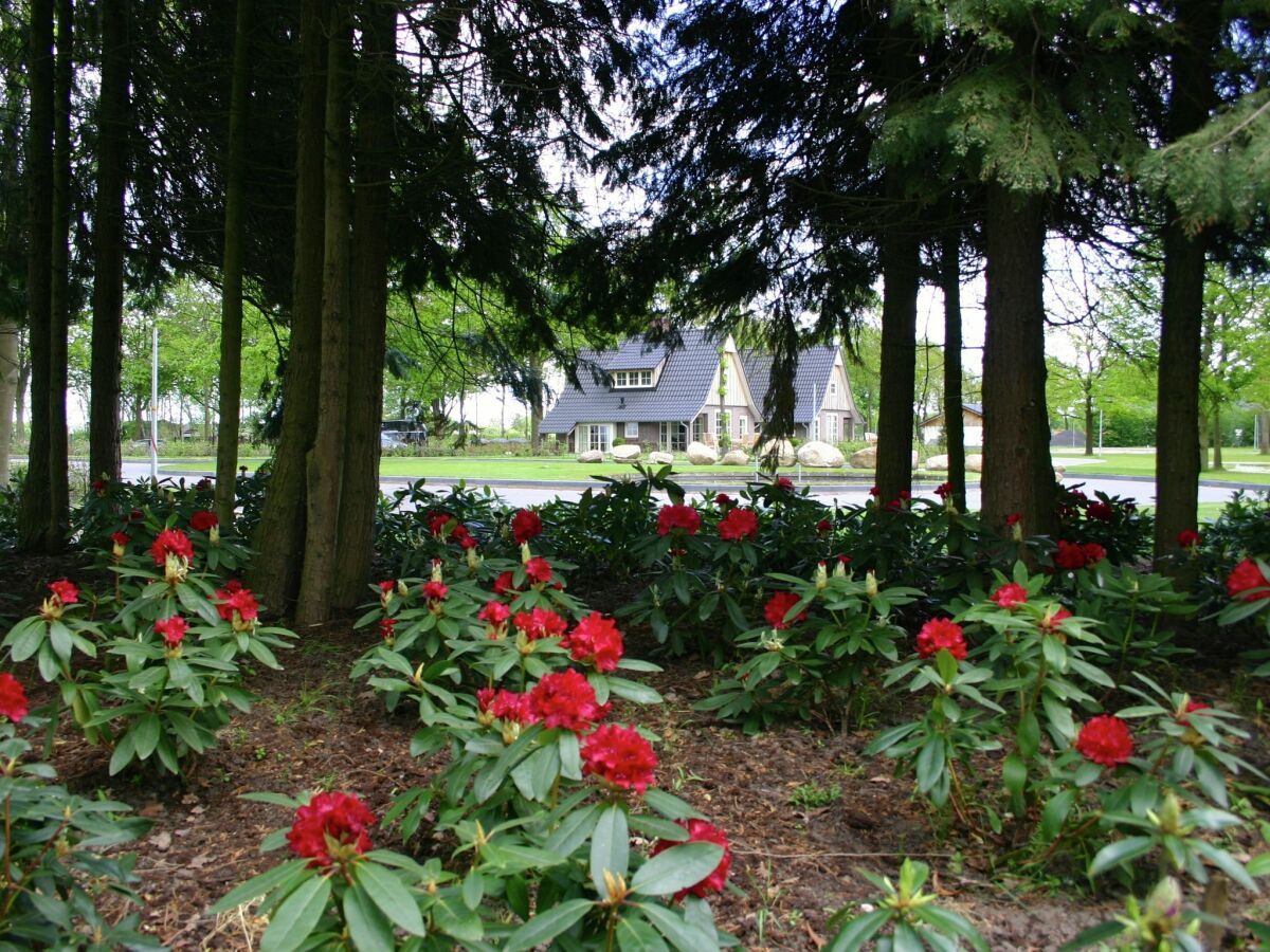 Ferienpark Lemele Umgebung 20