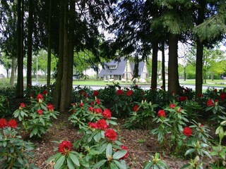 Ferienpark Lemele Umgebung 19