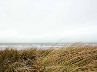 Ferienpark De Koog Umgebung 23