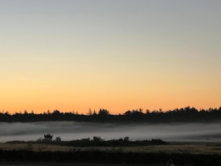 Ferienpark De Koog Umgebung 31