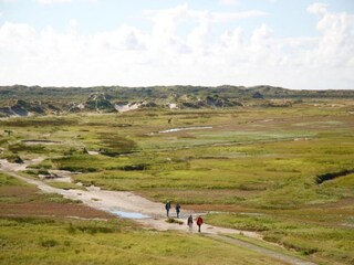 Vakantiepark De Koog Omgeving 32