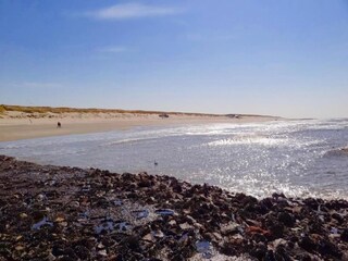 Vakantiepark De Koog Omgeving 16