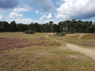 Parque de vacaciones Hellendoorn Entorno 22
