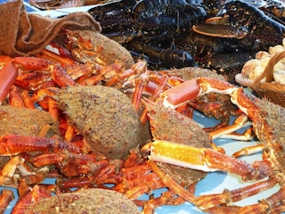 Ferienpark Guilvinec Umgebung 19