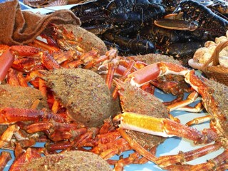 Parc de vacances Guilvinec Environnement 17