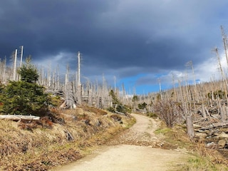 Ferienpark Schierke Umgebung 34