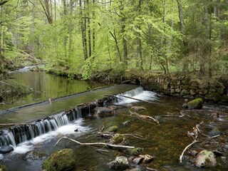 Parc de vacances Schierke Environnement 36
