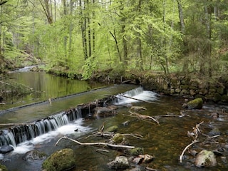 Parc de vacances Schierke Environnement 24