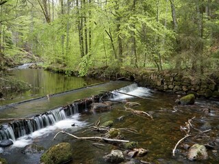 Vakantiepark Schierke Omgeving 36