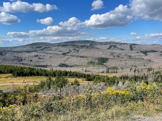 Holiday park Schierke Environment 25