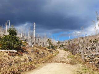 Parque de vacaciones Schierke Entorno 33