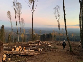 Parque de vacaciones Schierke Entorno 28