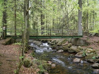 Vakantiepark Schierke Omgeving 30