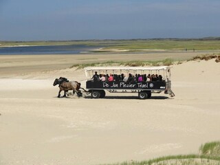 Parco vacanze De Koog Ambiente 28