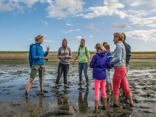 Vakantiepark De Koog Omgeving 21