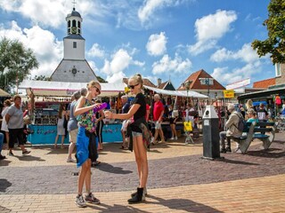 Vakantiepark De Koog Omgeving 24