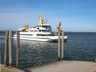 Vakantiehuis Neßmersiel Omgeving 12