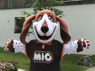 Holiday park Maastricht  21