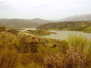 Parc de vacances Algarinejo Environnement 34
