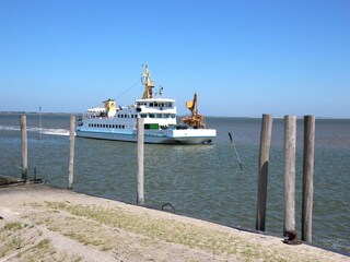 Appartement Neßmersiel Omgeving 15