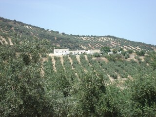 Parque de vacaciones Algarinejo Entorno 29