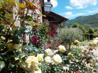 Holiday park San Godenzo  31