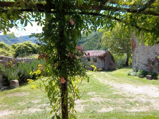 Holiday park San Godenzo  27
