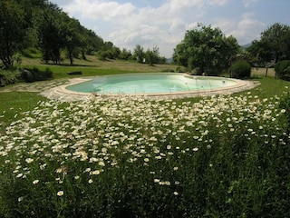 Ferienpark San Godenzo Außenaufnahme 10