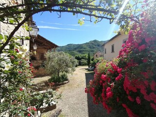 Vakantiepark San Godenzo Buitenaudio-opname 11