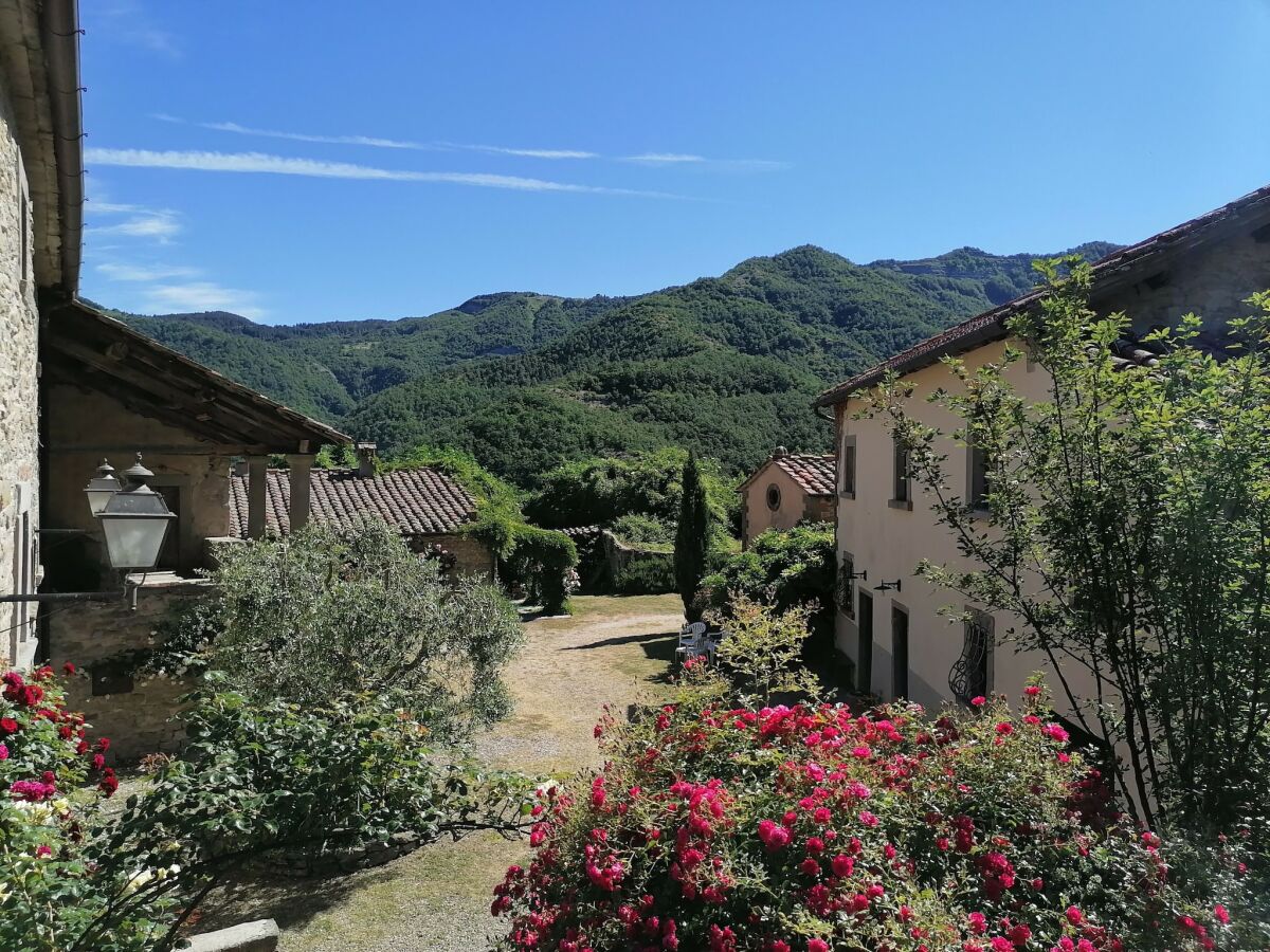 Ferienpark San Godenzo Außenaufnahme 14