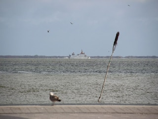 Bungaló Dornumersiel  13