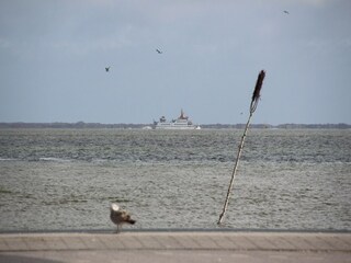 Bungaló Dornumersiel  13