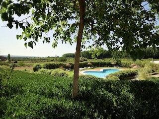 Holiday park Benalúa Outdoor Recording 8